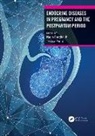 Nadia Barghouthi, Nadia (Assistant Professor) Perini Barghouthi, Nadia (West Virginia University Barghouthi, Jessica Perini, Nadia Barghouthi, Jessica Perini... - Endocrine Diseases in Pregnancy and the Postpartum Period