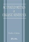 P. Cintas, Pedro Cintas, Cintas P. - Activated Metals in Organic Synthesis