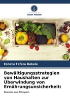 Eshetu Tefera Bekele - Bewältigungsstrategien von Haushalten zur Überwindung von Ernährungsunsicherheit: