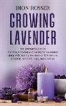 Dion Rosser - Growing Lavender