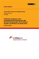Sandra Schaftner - Politische Tendenzen in der Auslandsberichterstattung der dpa. Berichterstattung über die Proteste in Ecuador und Bolivien im Herbst 2019