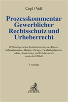 Christof Augenstein u a, Philipp Moritz Cepl, Philipp Moritz Cepl (Dr.), Voss, Ulrik Voss, Ulrike Voß - Prozesskommentar Gewerblicher Rechtsschutz und Urheberrecht