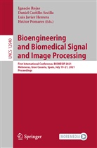 Danie Castillo-Secilla, Daniel Castillo-Secilla, Luis Javier Herrera, Lui Javier Herrera et al, Héctor Pomares, Ignacio Rojas - Bioengineering and Biomedical Signal and Image Processing