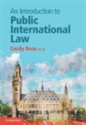 Niels Blokker, Blokker Niels, Daniëlla Dam-de Jong, Robert Heinsch, Heinsch Robert, Erik Koppe... - Introduction to Public International Law
