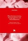 Amit Agrawal, Pasquale Cianci, Enrico Restini - Pheochromocytoma, Paraganglioma and Neuroblastoma