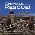 Sandra Markle - Animals to the Rescue!
