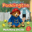 HarperCollins Children’s Books, HarperCollins Children's Books, Panting Paul - The Hatching Chicks