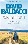 David Baldacci - Wish You Well