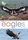 Mike Unwin, Unwin Mike - RSPB Spotlight: Eagles
