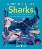 Carlee Jackson, Neon Squid, Chaaya Prabhat - Sharks (A Day in the Life)