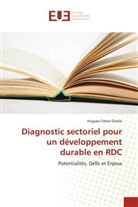 Hugues-Trésor Diadia - Diagnostic sectoriel pour un développement durable en RDC