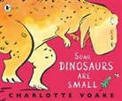 Charlotte Voake, Voake Charlotte, Charlotte Voake, Voake Charlotte - Some Dinosaurs Are Small