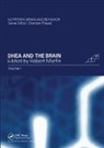 Robert Morfin, Robert (Cnam Morfin, Morfin Robert - DHEA and the Brain