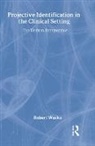 Robert Waska, Waska Robert - Projective Identification in the Clinical Setting