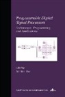 Yu Hen Hu, Yu Hen (University of Wisconsin Hu, Hu Yu Hen - Programmable Digital Signal Processors