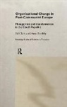 Ed Clark, Anna Soulsby, Soulsby Anna - Organizational Change in Post-Communist Europe