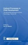 Ann S. Masten, Masten Ann S. - Cultural Processes in Child Development
