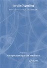 George Grunberger, George (Wayne State University Grunberger, Grunberger George, Yehiel Zick, Zick Yehiel - Insulin Signaling