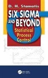 D.H. Stamatis, D.h. (Contemporary Consultants Stamatis - Six Sigma and Beyond