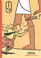 Hergé - Tim & Struppi Agenda 2022 Klein
