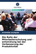 Ayorinde Egunjobi - Die Rolle der Mitarbeiterschulung und -entwicklung bei der Verbesserung der Produktivität