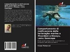 Fahad Mohamed - Comportamento di nidificazione delle tartarughe marine a Mvundeni e Kiwayu, Lamu Seascape