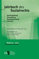 Wolfgang Gitter, Rolfs, Christian Rolfs, Rolfs (Prof. Dr.), Rolfs (Prof. Dr.), Pete Udsching... - Jahrbuch des Sozialrechts - 42: Jahrbuch des Sozialrechts
Dokumentation für das Jahr 2020