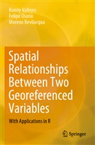 Moreno Bevilacqua, Felip Osorio, Felipe Osorio, Ronn Vallejos, Ronny Vallejos - Spatial Relationships Between Two Georeferenced Variables