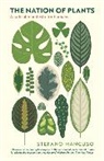 Stefano Mancuso, Mancuso Stefano, Stefano Mancuso - The Nation of Plants