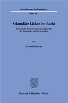 Manuel Fallmann - Sekundäre Lücken im Recht.