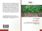 Jean Francois Rajaonarison, Antoni Randrianantenaina, Razafimahefa - Le manioc