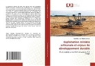 Saoul Ndungo Mughuma-lewa - Exploitation minière artisanale et enjeux de développement durable