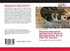 José Vioel Espino Ruiz - Recomendaciones Geotécnicas Para la Recuperación de un Pilar de Corona