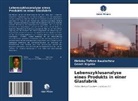 Melaku Tafes Awulachew, Melaku Tafese Awulachew, Genet Nigatie - Lebenszyklusanalyse eines Produkts in einer Glasfabrik