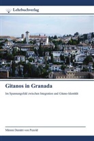 Mimmi Demitri von Pezold - Gitanos in Granada