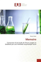 Ramzi Amari - Memoire