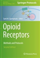 Sant M Spampinato, Santi M Spampinato, Santi M. Spampinato - Opioid Receptors