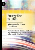 Robert Cudd, Fel Federico, Felicia Federico, Eric Daniel Fournier, Hanna Gustafson, Hannah Gustafson... - Energy Use in Cities