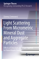 Llorenç Cremonesi - Light Scattering From Micrometric Mineral Dust and Aggregate Particles