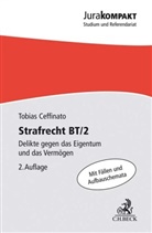 Tobias Ceffinato - Strafrecht BT/2