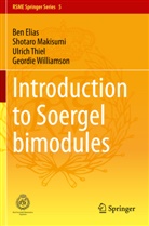 Be Elias, Ben Elias, Shotar Makisumi, Shotaro Makisumi, Ulrich Thiel, Ulrich et al Thiel... - Introduction to Soergel Bimodules