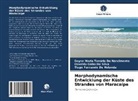 GIRAO DA SILVA, GIRÃO DA SILVA, OSVALDO GIRÃO DA SILVA, Tiago Fernando de Holanda, Dayse Maria Tenório D Nascimento, Dayse Maria Tenório Do Nascimento - Morphodynamische Entwicklung der Küste des Strandes von Maracaípe