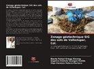 Eberto Rafael Ortega Sinning, Olga Vanessa Palacio Pacheco, Angélica Patricia Vanegas Padilla - Zonage géotechnique SIG des sols de Valledupar, Col.