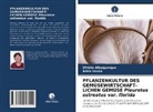 Vitóri Albuquerque, Vitória Albuquerque, Adna Sousa - PFLANZENKULTUR DES GEMÜSEWIRTSCHAFT- LICHEN GEMÜSE Pleurotus ostreatus var. florida