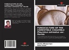Vitória Albuquerque, Adna Sousa - FUNGICULTURE OF THE COMESTIBLE COGUMBLE Pleurotus ostreatus var. florida