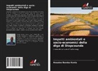 Amadou Bamba Konta - Impatti ambientali e socio-economici della diga di Diopcounda