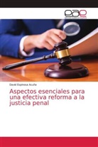 David Espinosa Acuña - Aspectos esenciales para una efectiva reforma a la justicia penal