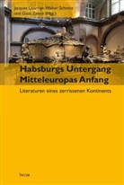 Jacque Lajarrige, Jacques Lajarrige, Walter Schmitz, Giusi Zanasi - Habsburgs Untergang - Mitteleuropas Anfang