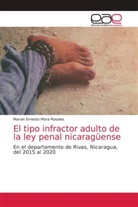 Marvin Ernesto Mora Rosales - El tipo infractor adulto de la ley penal nicaragüense