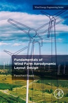 Farschad Torabi, Farschad (Assistant Professor Torabi - Fundamentals of Wind Farm Aerodynamic Layout Design